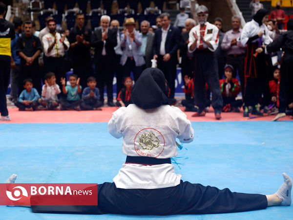 اختتامیه چهارمین نشست سالانه هیات رئیسه کمیته هنرهای رزمی یونسکو در شیراز