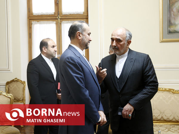 دیدار معاون وزیر خارجه روسیه با امیرعبدالهیان