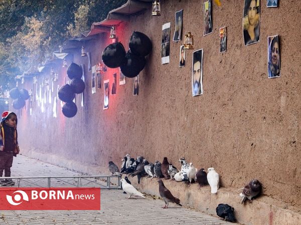 برگزاری مراسم «روز جهانی یادبود قربانیان حوادث ترافیکی»-شیراز