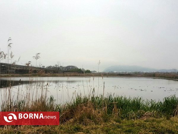 تالاب حاجی آباد لاهیجان