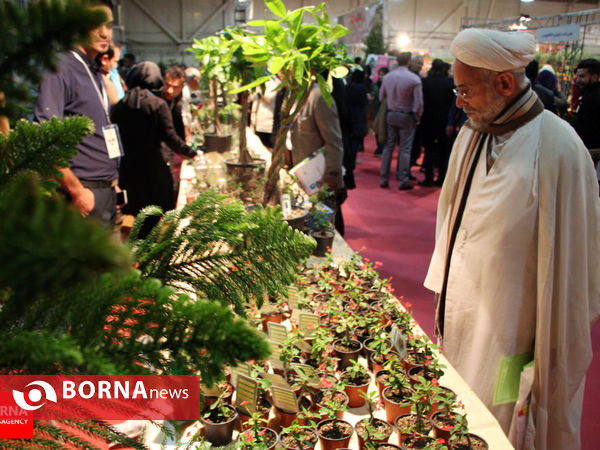 برگزیده گزارش های تصویری بهمن ۱۳۹۴