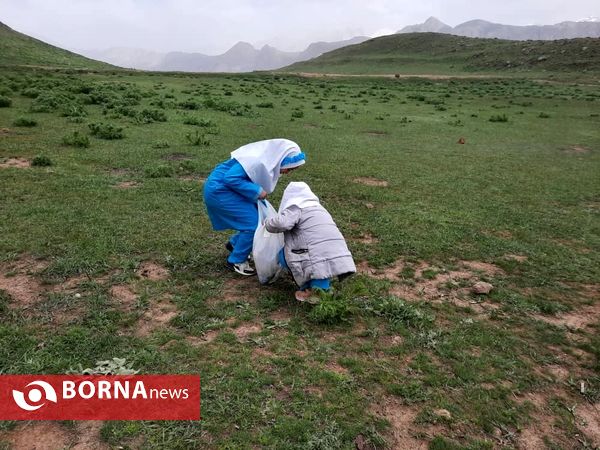 پاکسازی طبیعت رینه استان مازندران