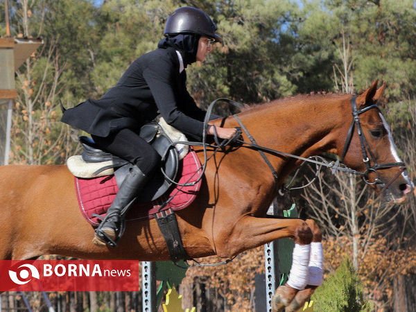 مسابقات پرش با اسب قهرمانی استان فارس
