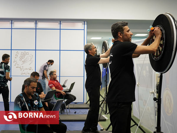 اولین دوره لیگ برتر دارت