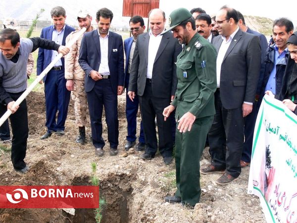 آغازفعالیتهای درختکاری در رومشکان درآستانه هفته منابع طبیعی
