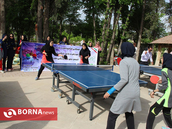 پیاده روی خانوادگی به مناسبت عید مبعث در شیراز ‎