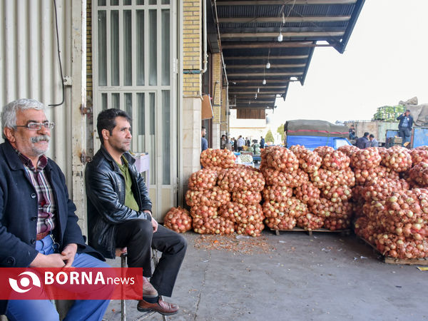 میدان میوه و تره بار در روزهای پایانی سال