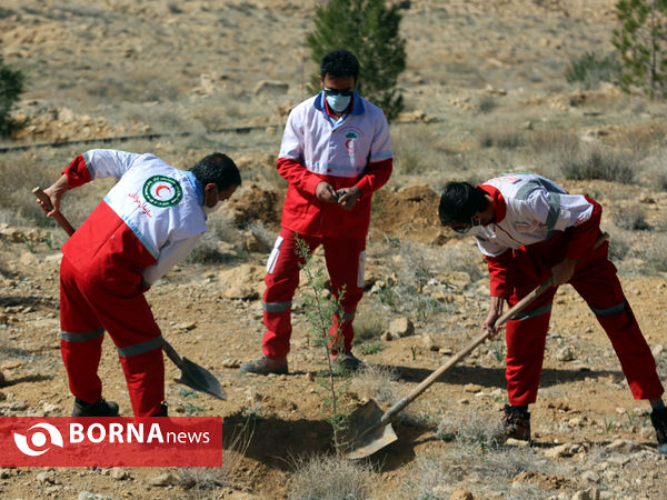 آیین روز درختکاری در شیراز