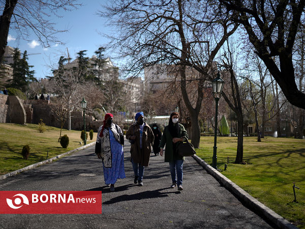روز  درختکاری با حضور همسران سفرای کشورهای خارجی