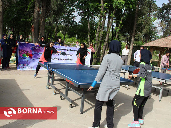 پیاده روی خانوادگی به مناسبت عید مبعث در شیراز ‎