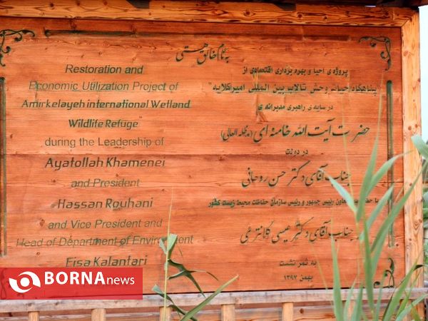 تالاب بین المللی امیر کلایه _ لاهیجان