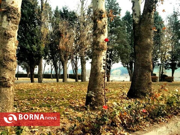 آخرین لحظات پاییزی