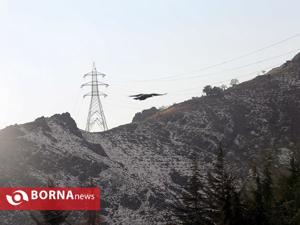 بارش اولین برف پاییزی در تهران 2