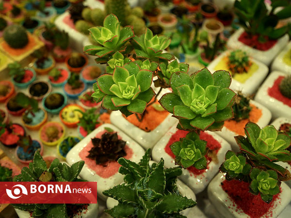 هفدهمین نمایشگاه بین المللی گل و گیاه
