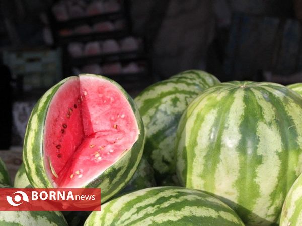 گیلان در آستانه یلدا ۱۴۰۰