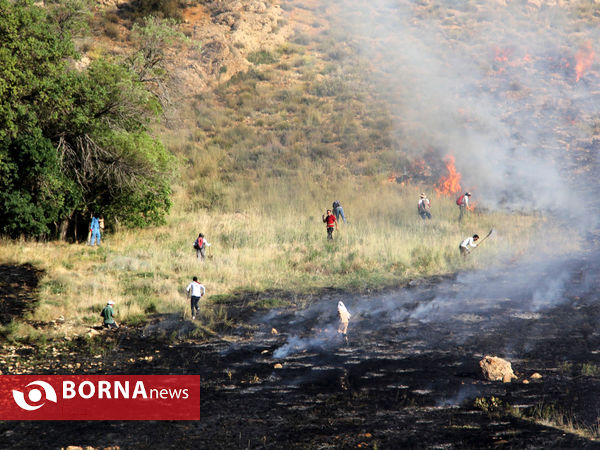 آتش سوزی مراتع در پارک ملی بموی شیراز
