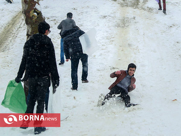 بارش برف در تهران-۴