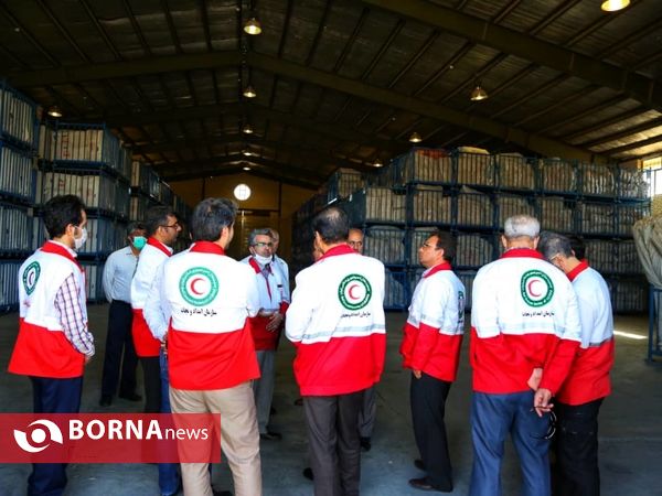 نشست تخصصی هلال احمر استان های پیشتاز، معین و جانشین استان تهران