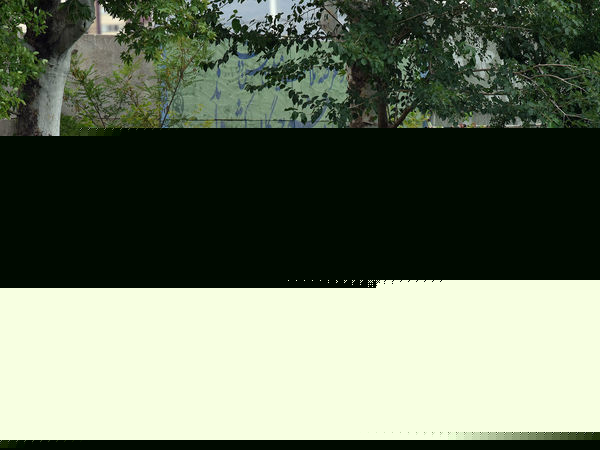 مسابقات چوگان جام بهران