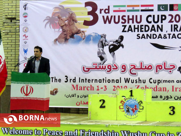 مسابقات بین المللی ووشو جام صلح و دوستی