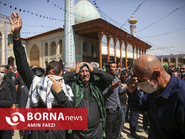 پیاده روی جاماندگان اربعین حسینی در شیراز