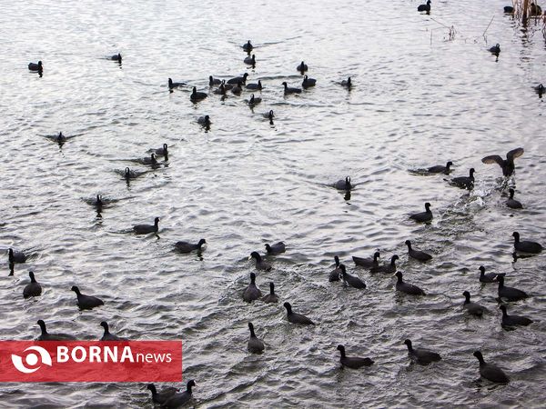 زریبار کردستان