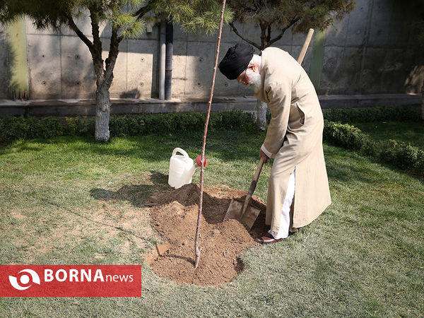 کاشت نهال توسط رهبر معظم انقلاب اسلامی