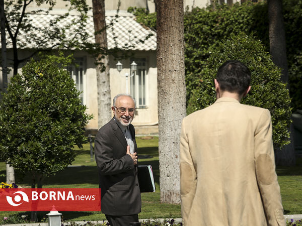 در حاشیه جلسه هیات دولت
