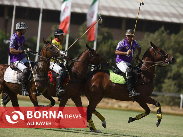 لیگ  ملی چوگان