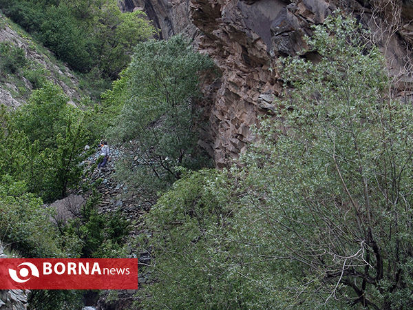 گردشگری در هفته جوان