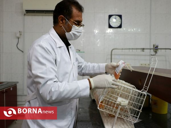 نذر خون شب دهم محرم