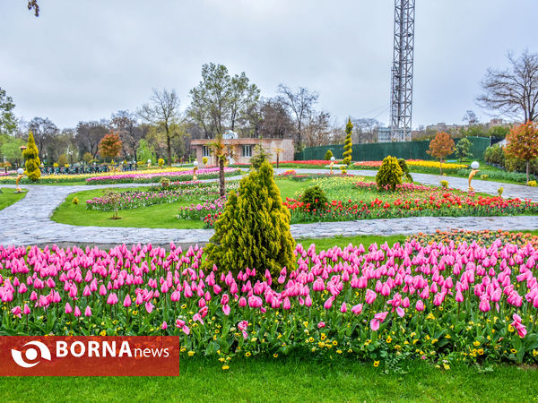 جشنواره گل‌های لاله