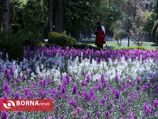 گردشگران خارجی در باغ ارم شیراز