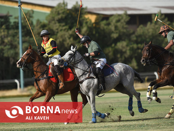 لیگ  ملی چوگان