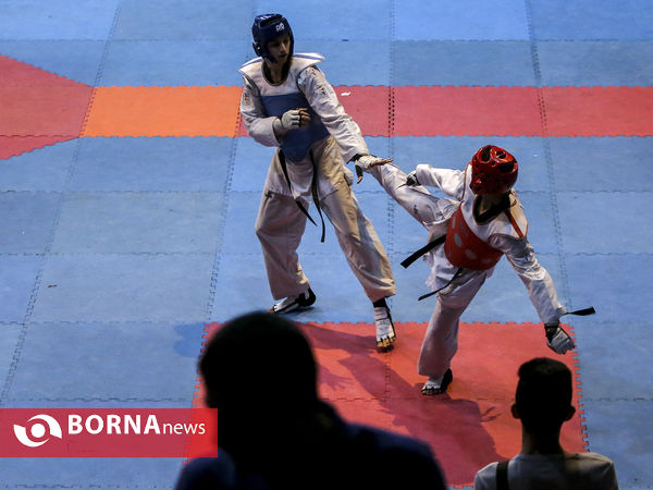 لیگ برتر تکواندو