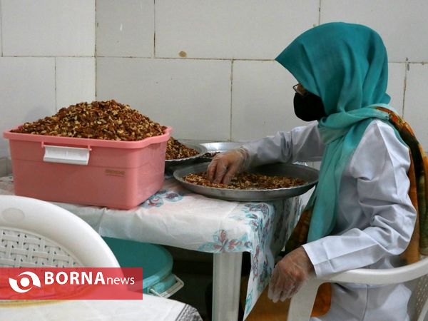 جهش تولید در سرزمین فتح - ۲