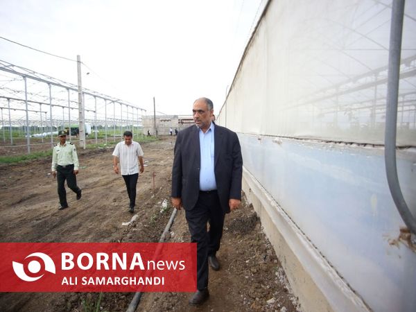 بازدید وزیر جهاد کشاورزی از ظرفیت های کشاورزی و شیلاتی بندرانزلی