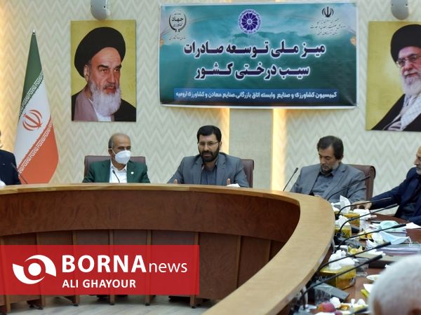 میز ملی توسعه صادرات سیب درختی ایران