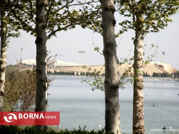 بازدید معاون وزیر ورزش از آکادمی فوتبال و سالن تیراندازی مجموعه ورزشی آزادی