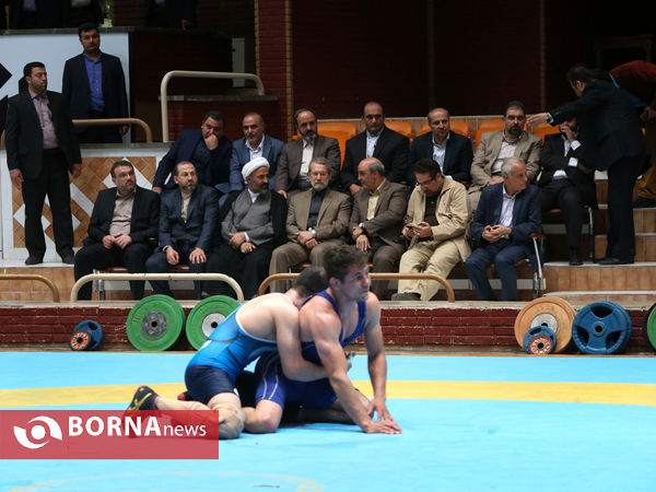 بازدید رییس مجلس و وزیر ورزش و جوانان از اردوی تیم ملی کشتی