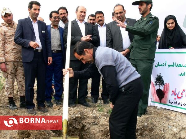 آغازفعالیتهای درختکاری در رومشکان درآستانه هفته منابع طبیعی