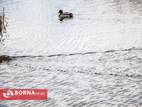 زریبار کردستان