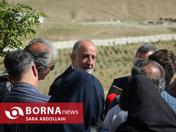 بازدید خبرنگاران از جنگلکاری های شمال شرق تهران 