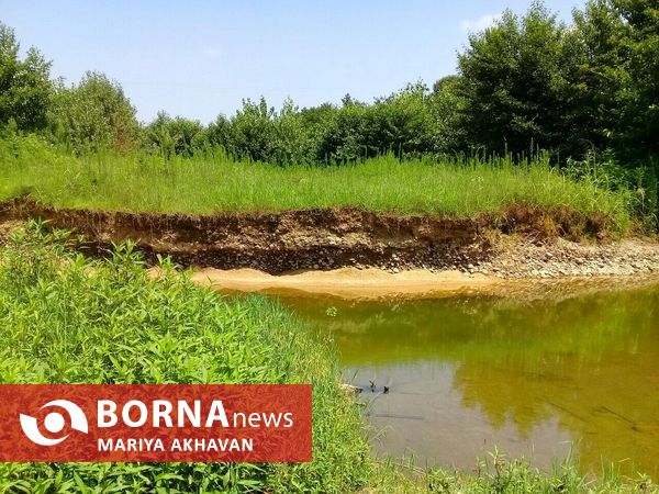 پاشاکی روستایی در شرق استان گیلان