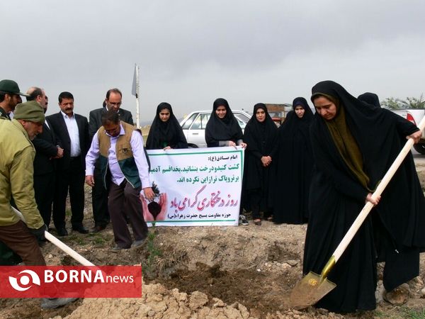 آغازفعالیتهای درختکاری در رومشکان درآستانه هفته منابع طبیعی