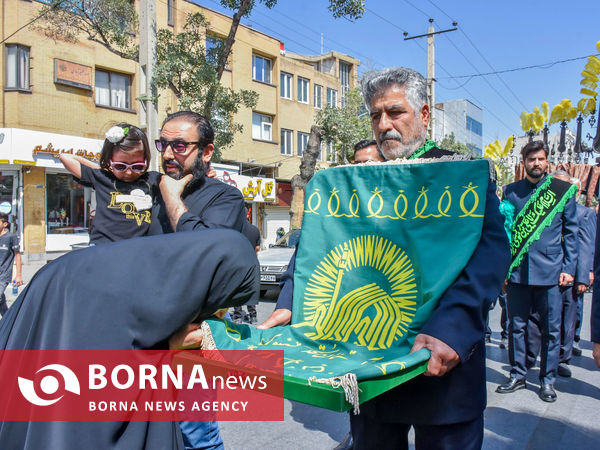 ارادت به امام رضا(ع)