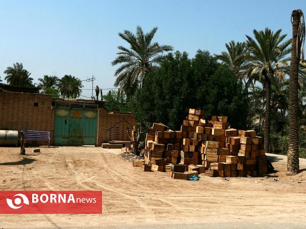 برداشت خارک و رطب روستای امام حسن(ع)