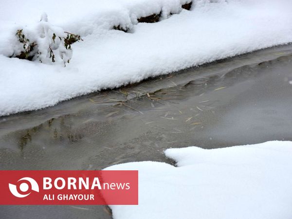 اولین برف زمستانی در ارومیه