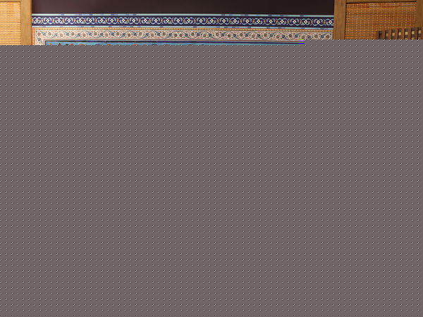 سکینه الماسی نماینده مجلس