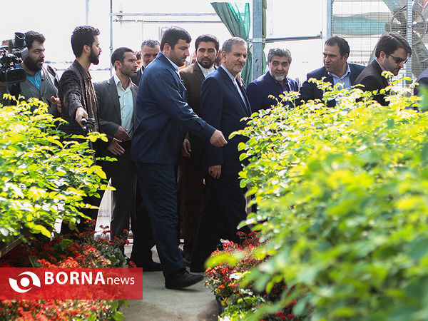 بازدید معاون اول رئیس جمهوری از چند پروژه کشاورزی و صنعتی در شهرستان رباط کریم